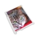 Couverture dure pour IPad 2, Blanc